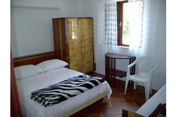 Horvātija Privát Sućuraj, Eksterjers